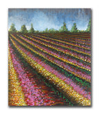 Spring Tulips – Original Painting on canvas ( 4 panels)